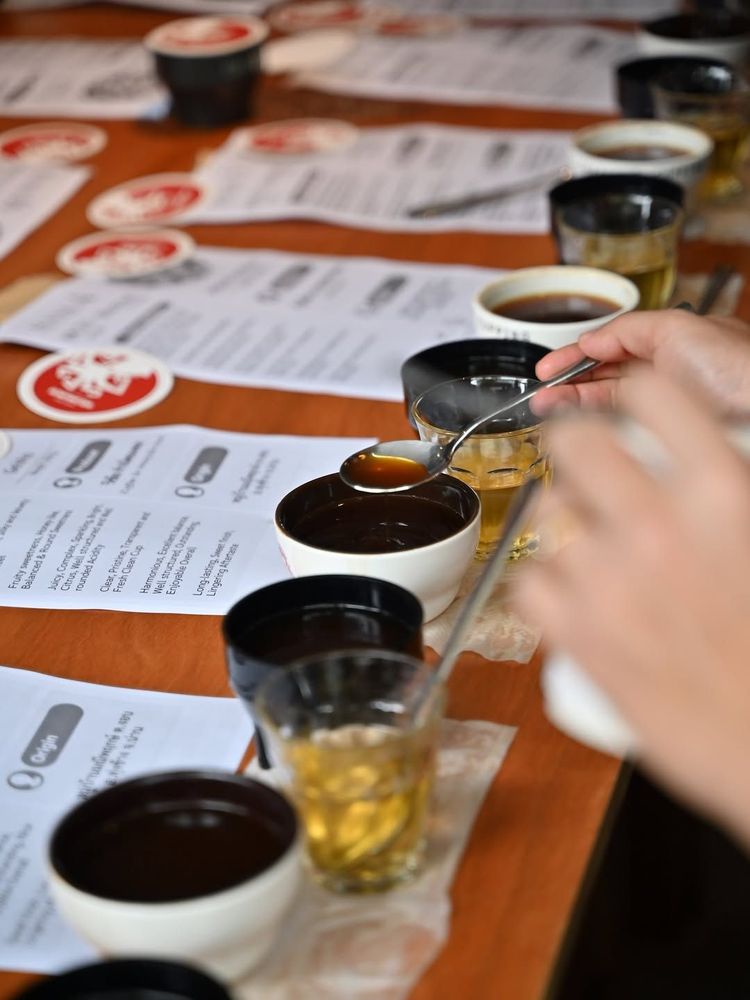 Thai Specialty Coffee Awards 2026 Coffee Auction (การประมูลกาแฟรางวัล)