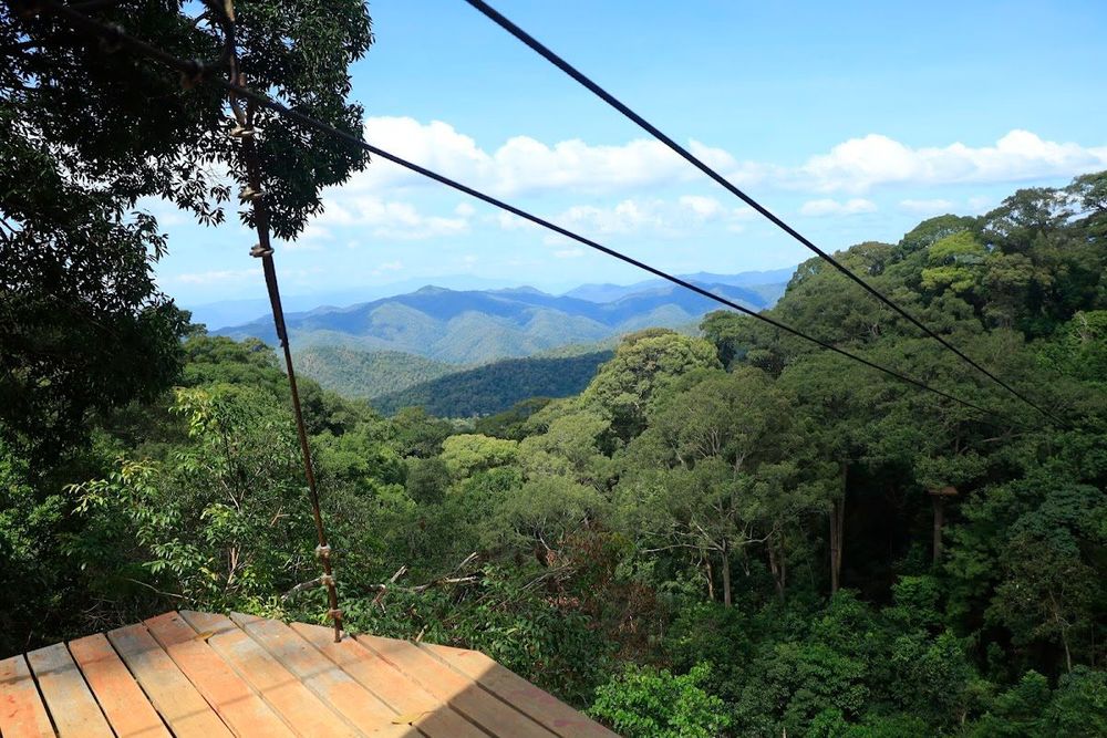 Main Office of Jungle Flight Zipline