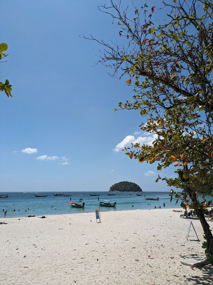 Rumblefish Adventure Kata Beach PADI 5 STAR IDC Dive Center