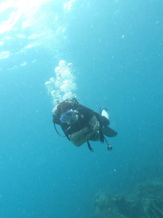 Member Diving - Snorkeling & Scuba Diving Center