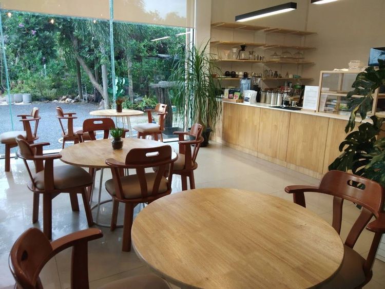 Tree Room Brew & Bake