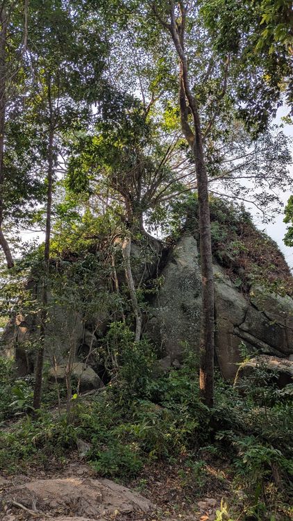 Wooden Rock Viewpoint
