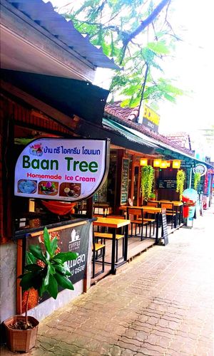 Baan Tree - Homade Ice Cream