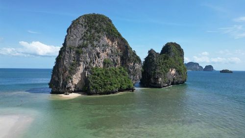 Bioluminescent Plankton