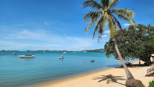 Bophut Fisherman Village View Point