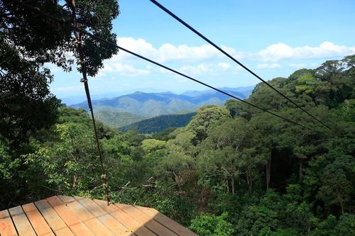 Main Office of Jungle Flight Zipline