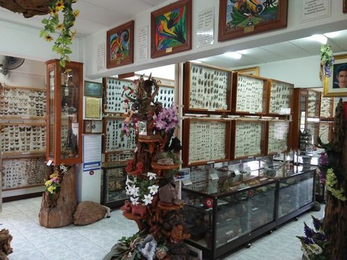 Museum of World Insects and Natural Wonders