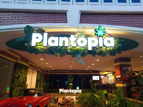 Plantopia - Weed City