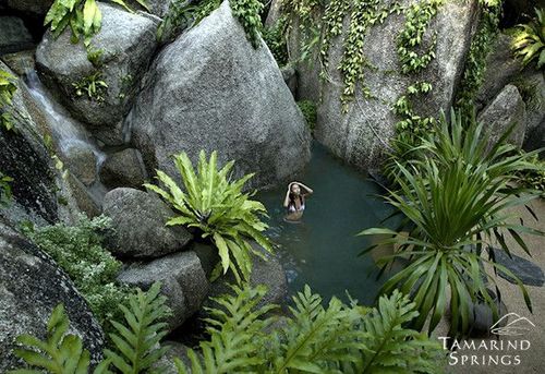 Tamarind Springs Forest Spa