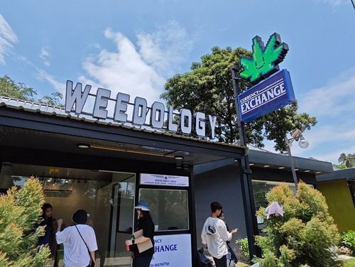 Weedology Cannabis Culture Railay